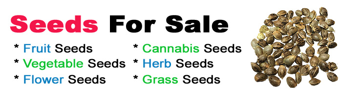 Seeds For Sale