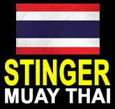 Stinger Muay Thai